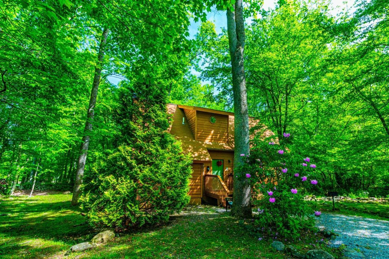 Bear Footin' On The Creek Gatlinburg Exterior foto