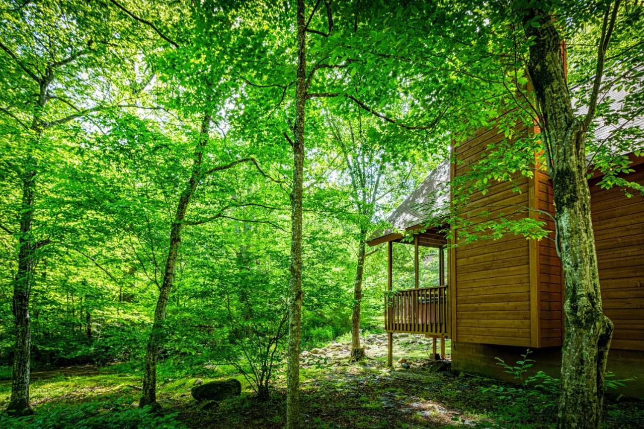 Bear Footin' On The Creek Gatlinburg Exterior foto