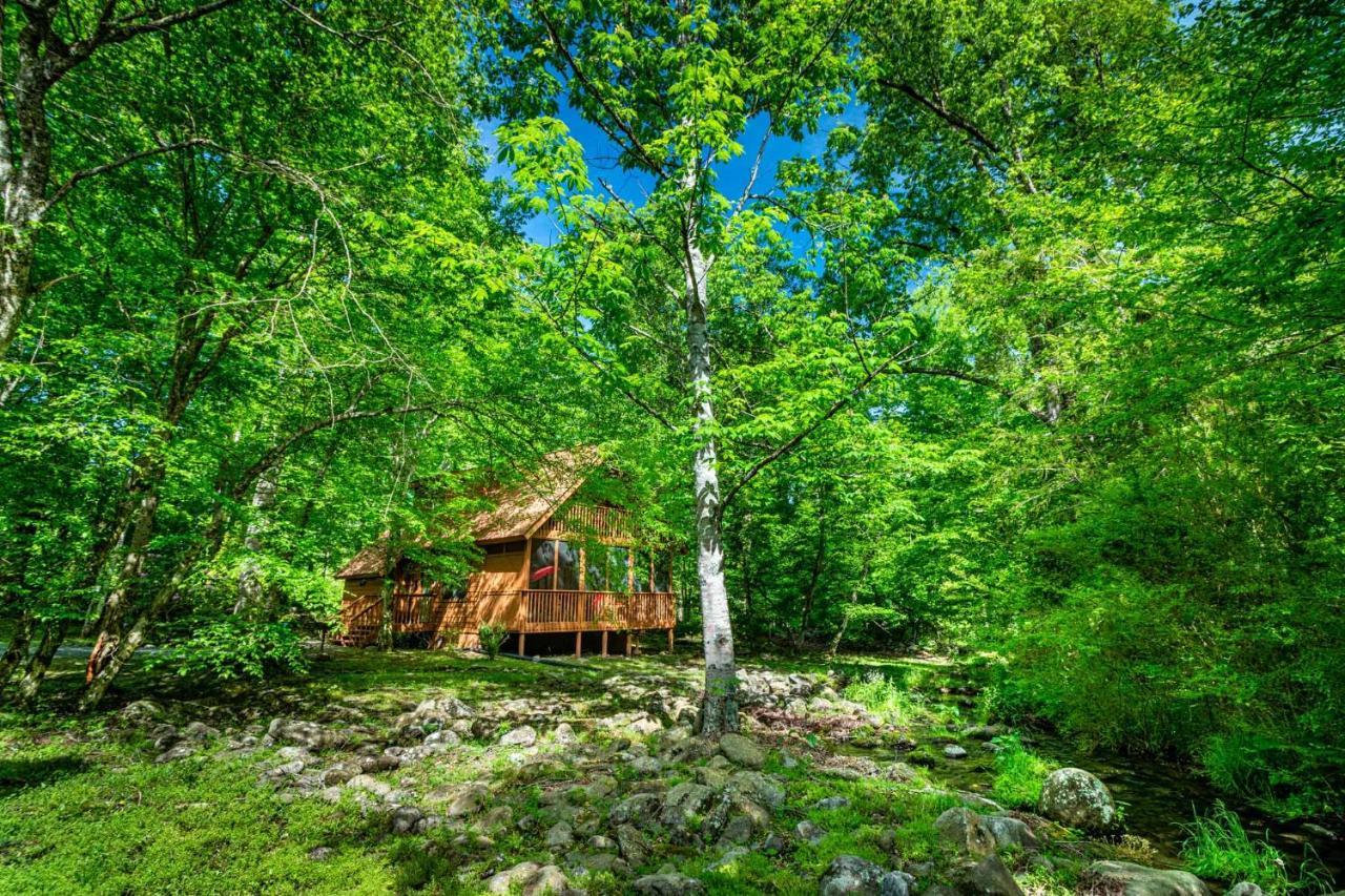 Bear Footin' On The Creek Gatlinburg Exterior foto